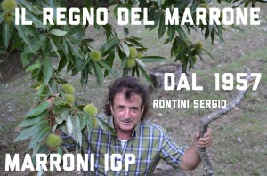 Il Regno Del Marrone Di Rontini Sergio E Monia