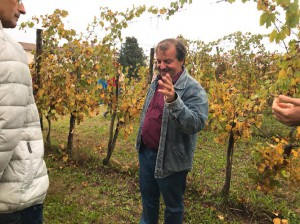 Azienda Agricola Longanesi