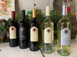 Azienda agricola Pieni Vini e Vigneti