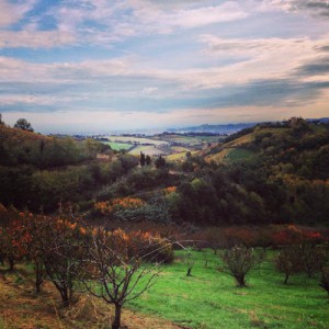 Azienda agricola biologica La Via Del Colle