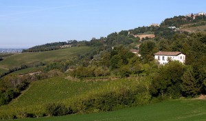 Raffaella Alessandra Bissoni | Azienda vitivinicola