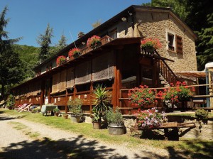 Agriturismo Fattoria Bosco Verde