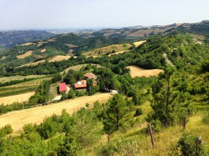 Il Pratello - Modigliana | Vini Biologici & Agriturismo