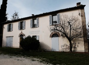 Azienda Agricola Castelluccio