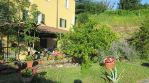 B&B Molino di Sopra