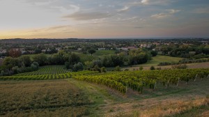 Cantina Franco Galli - Azienda Agricola