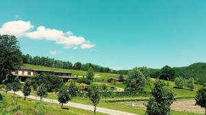 Agriturismo Casa Delle Erbe