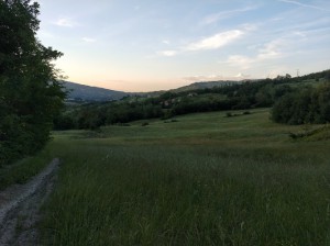 Caseificio vezzano val parma