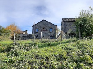 Agriturismo e B&B Borgo Gerbina