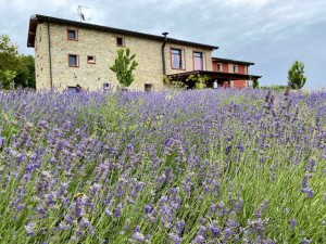 Agriturismo SoleLuna