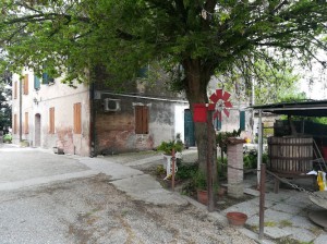 Agriturismo Boschi