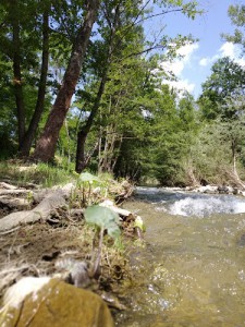 Area Pic Nic con griglie sul Savena