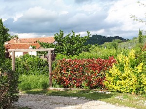 Agriturismo Oasi 