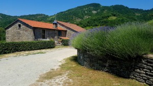 Azienda Agrituristica Ca' Nova Di Riva Alessandro