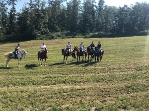 Appennino Horse Trekking