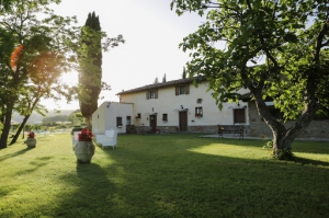 Il Vignolino Bed & Breakfast