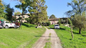 Il Sartino Agriturismo e B&B