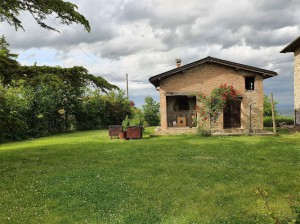 Agriturismo Al Vigneto