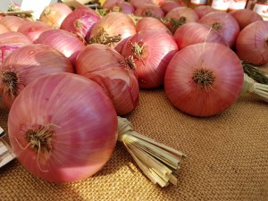 Azienda Agricola NIVES FRANCESCON Produttore Cipolla Rossa di Cavasso Nuovo