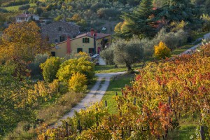 Agriturismo Podere Villa Alessi Di Giacomin Ivano & C.