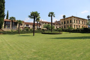 Azienda Agricola Villa Spinosa