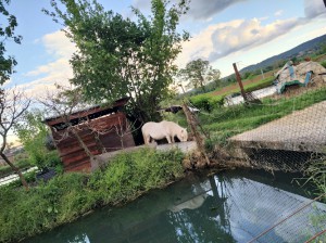 Agriturismo Laghetto Pesca Sportiva