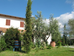 Agriturismo Il Poderino