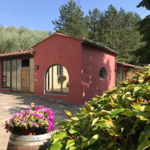 Agriturismo Il Pezzatino