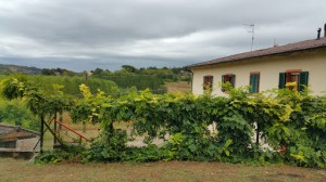 Agriturismo Podere Chiasso Gherardo