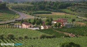 AZIENDA AGRICOLA SANTA BARBARA