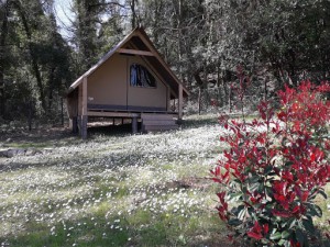 Glamping Pian delle Ginestre