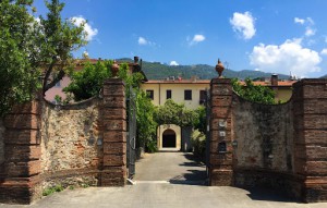 Orangerie Pietrasanta