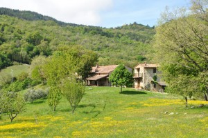 Agriturismo Le Pianore