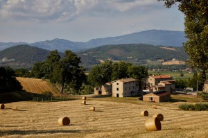 AGRITURISMO PODERE TOVARI