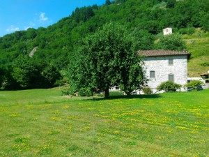 Agriturismo Campolaia