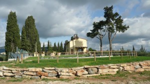 Agriturismo Mercurio - Campiglia Marittima