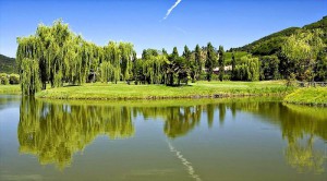 Golf Terme di Galzignano