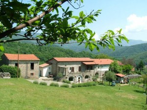 Agriturismo Ca' del Lupo