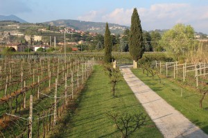 B&B Campagnon Valpolicella