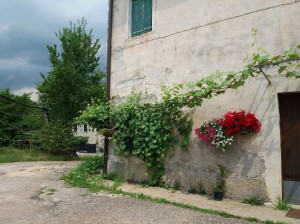 Bed and Breakfast in Corte Alta