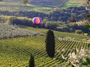 Azienda Agricola Castelvecchio