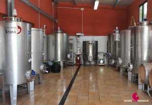 Cantina Bravi Alessandro - Vino della Garfagnana