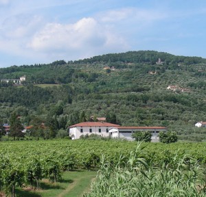 Società Agricola Marini Giuseppe