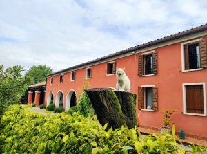 Agriturismo Le Rondini