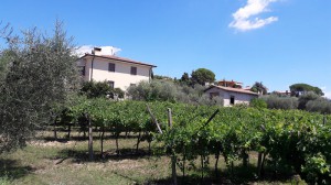 B&B Bianconiglio