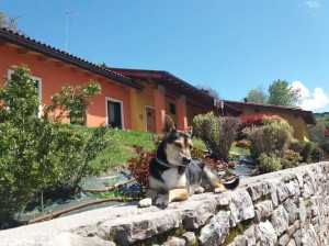 B&B la giardinetta