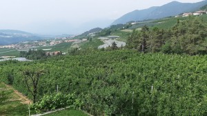 Agritur Maso Forcola