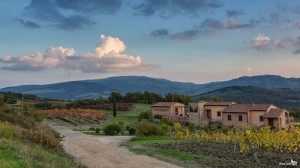 Fattoria Camporignano