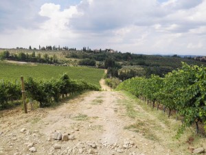 Fattoria Poggio Romita