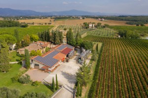 San Luciano vini di Toscana